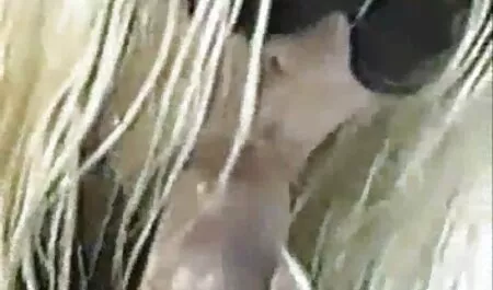 L'infirmière baise son film porno arabe complet patient
