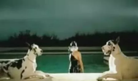 Deux mature blond désireux filmes pornos arabes couple une corné brunette